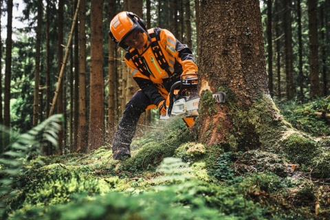 STIHL Pilarka MS 300 C-M, 325" , prowadnica L04 40cm/16", łańcuch RS Pro 1,3mm Orginał