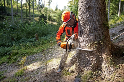 STIHL Pilarka MS 362 C-M 40 cm, 3/8”, RS, 1,6 L04 Orginał